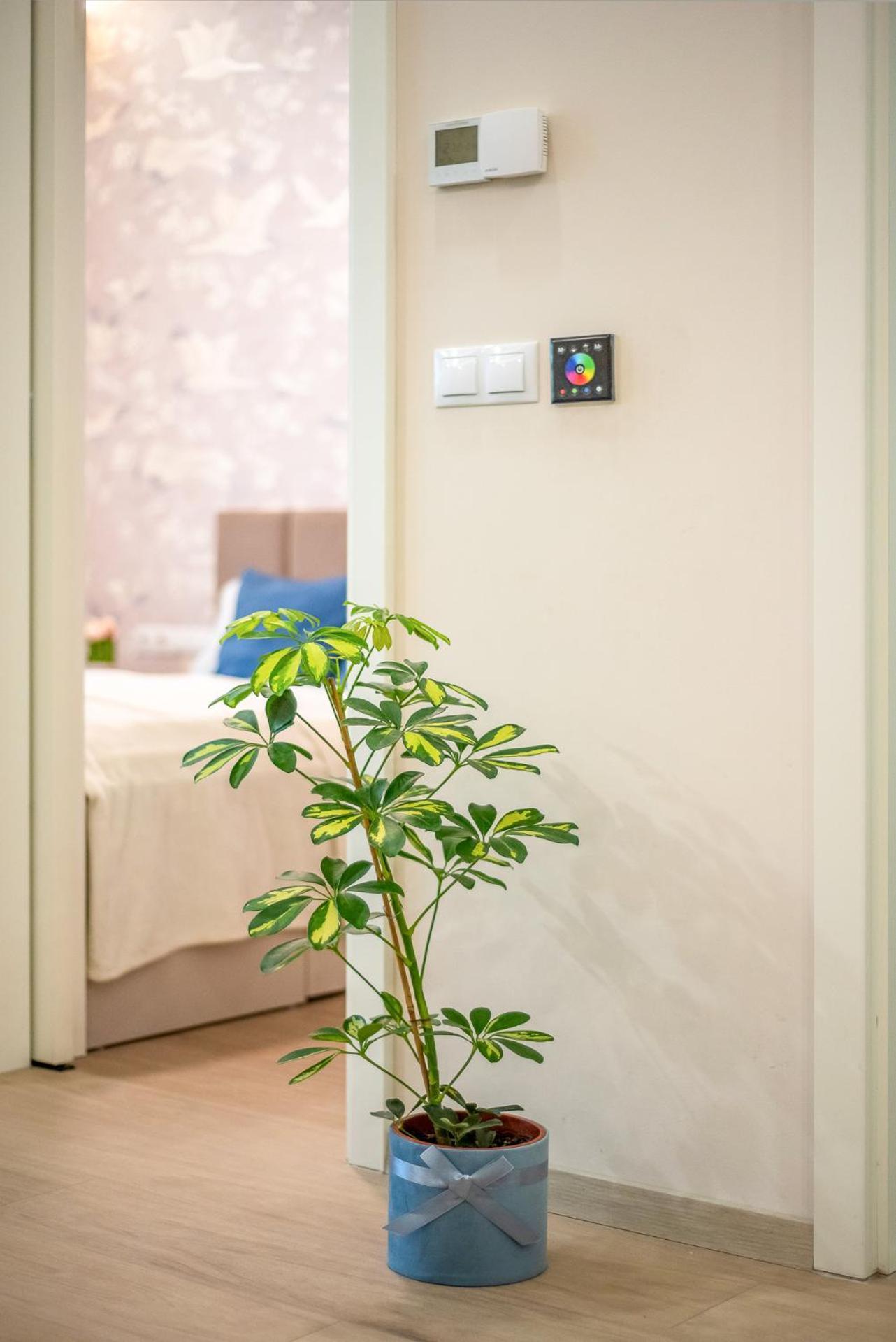 Lavida Deluxe Villa Hajdúszoboszló מראה חיצוני תמונה