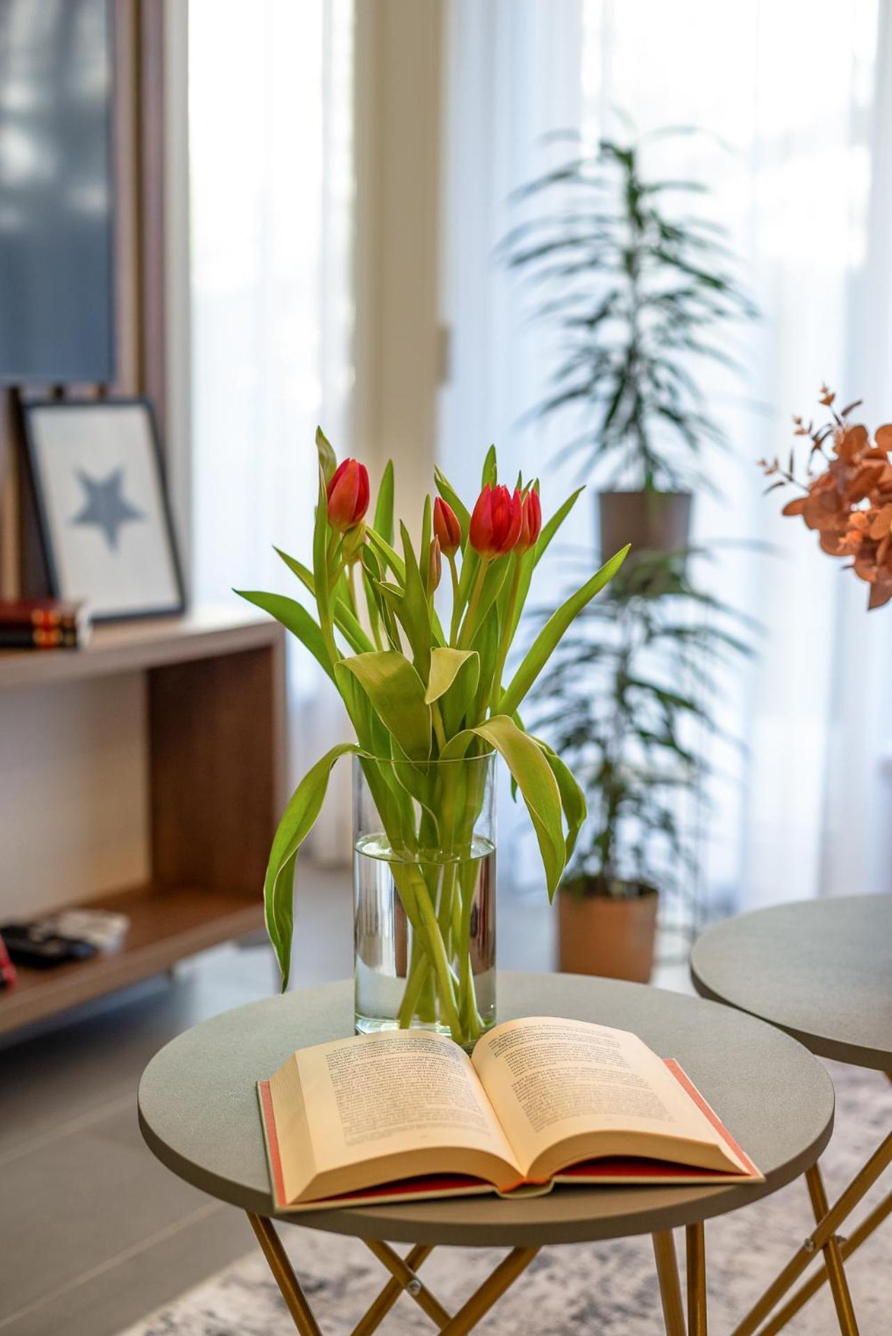 Lavida Deluxe Villa Hajdúszoboszló מראה חיצוני תמונה